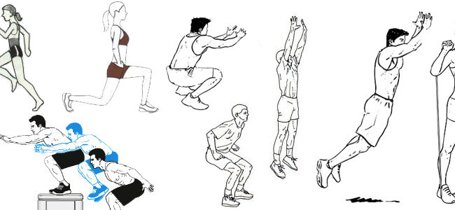 jump-manual-review-workouts-for-vertical-jump